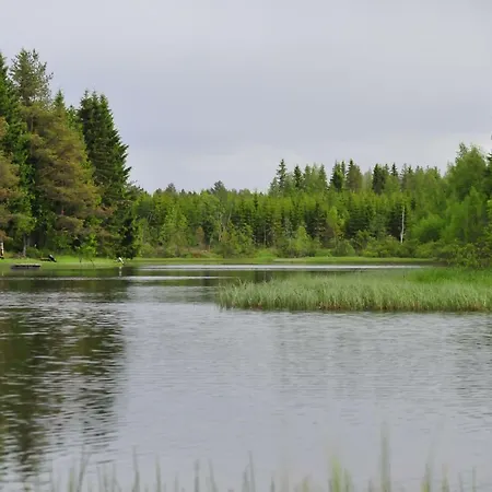 Nelli * Vuolijoki